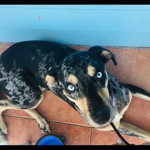 Meet your Posher, Melanie